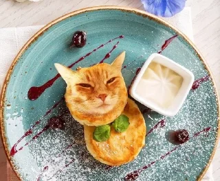 коты в еде/cats in food sticker 2