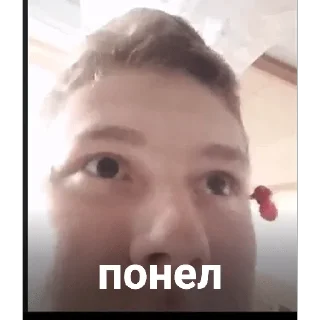 👍 emoji Бродяга Telegram sticker 6 of 41