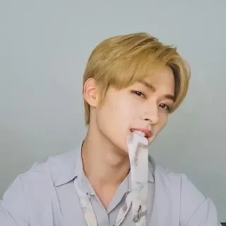 🍒 emoji минхо котик Telegram sticker 10 of 58