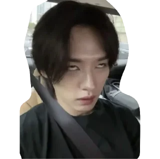 🙄 emoji минхо Telegram sticker 9 of 31