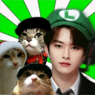 Sticker from минхо котик