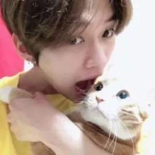 🍒 emoji минхо котик Telegram sticker 19 of 58