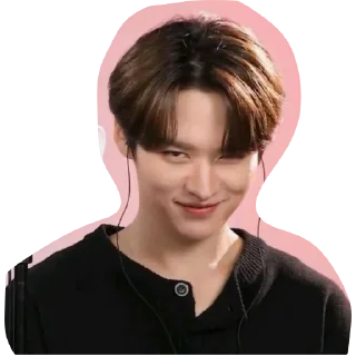 😏 emoji минхо Telegram sticker 22 of 31