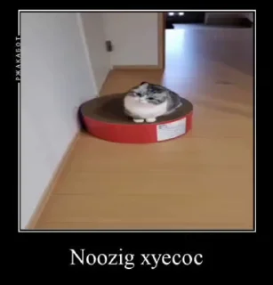 Sticker from Аллах дно