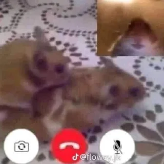 Sticker from Для тебя