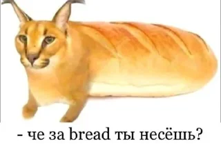 🍞 emoji Floppa Telegram sticker 11 of 31