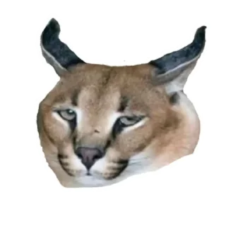 😝 emoji Floppa Telegram sticker 8 of 11