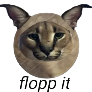 Sticker from FLOPPA