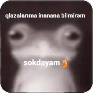 🖼 emoji israfilin çiftliği🐢 pack by @QuotLyBot Telegram sticker 13 of 85
