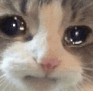 😢 emoji ❤️❤️❤️ Telegram sticker 14 of 73
