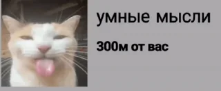 🤩 emoji Гифки долбаёба by @Camila_QT Telegram sticker 19 of 114