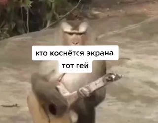 🤩 emoji Гифки долбаёба part 2 by @Camila_QT 😎 Telegram sticker 13 of 119