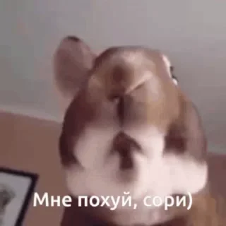 🤩 emoji Гифки долбаёба by @Camila_QT Telegram sticker 10 of 114