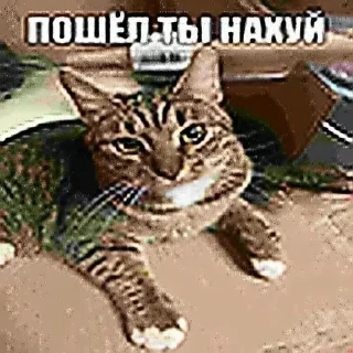маменькин дотер sticker 1