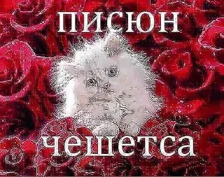 😂 emoji маменькин дотер Telegram sticker 15 of 46