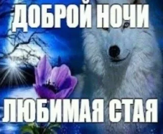 😽 emoji маменькин дотер Telegram sticker 9 of 46