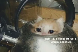 😭 emoji Yporot#eSticker# Telegram sticker 9 of 79