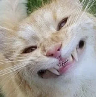 😬 emoji Yporot#eSticker# Telegram sticker 18 of 79
