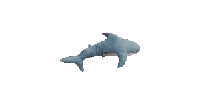 Sticker from 🦈 Vivacious Shark
