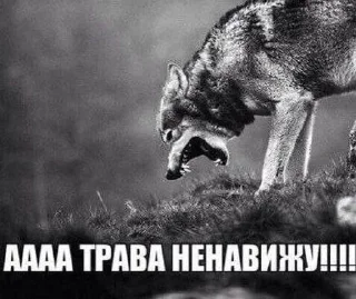 😒 emoji маменькин дотер Telegram sticker 11 of 46