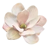 🌸 emoji М🤍 Telegram sticker 11 of 28