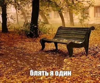 🌟 emoji Письки писечки пиписьки Telegram sticker 6 of 16