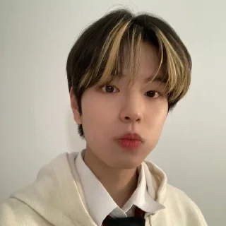 🐾 emoji seungmin @stickers_fr_lana Telegram sticker 13 of 30