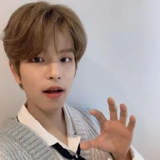 🐾 emoji seungmin @stickers_fr_lana Telegram sticker 8 of 30