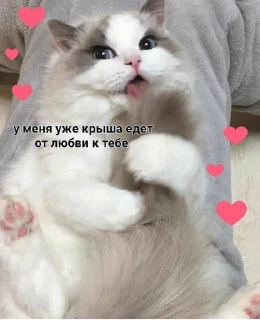 🫠 emoji 4mylvdi Telegram sticker 16 of 44