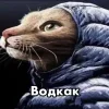 Sticker from жизнь ⟡ @stikidari @TgEmodziBot