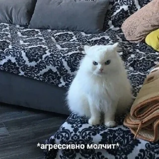 😡 emoji КОТЯ Telegram sticker 22 of 39
