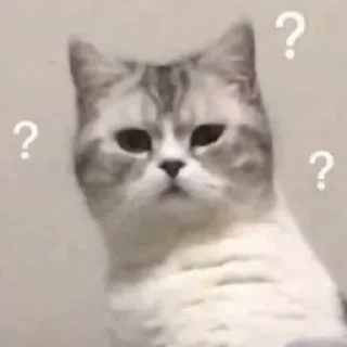🧐 emoji КОТЯ Telegram sticker 12 of 39