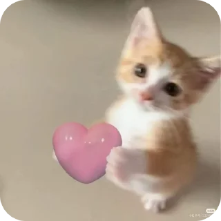 Sticker from котики для котика