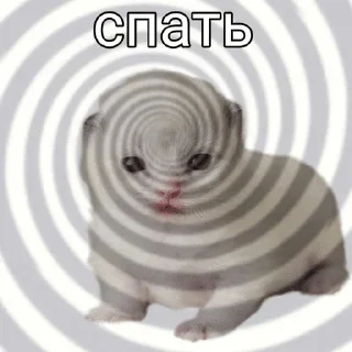 Sticker from Коты