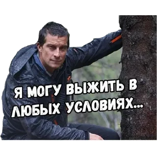 Sticker from Больше стикеров в @stikerfox