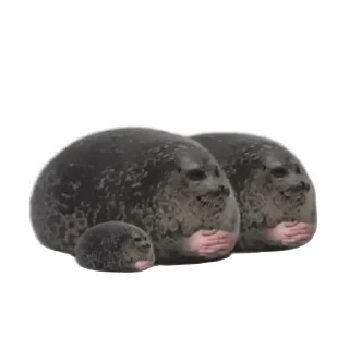 Sticker from Тюлени @VolFRAM_WAREQ