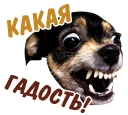 🙀 emoji животные Telegram sticker 12 of 58