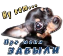 Sticker from животные