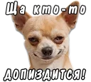 Sticker from животные