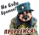 🤘 emoji животные Telegram sticker 11 of 58