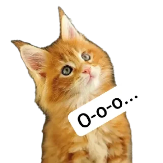 🐱 emoji Животные Telegram sticker 19 of 86