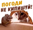 😳 emoji животные Telegram sticker 20 of 58