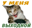 🤙 emoji животные Telegram sticker 21 of 58