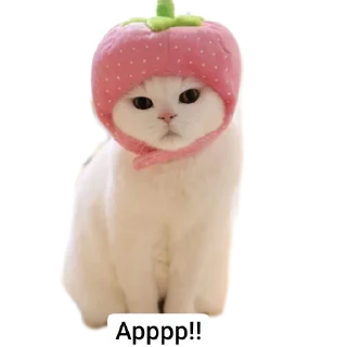 🐱 emoji Животные Telegram sticker 10 of 86