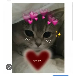 🤲 emoji Животные Telegram sticker 16 of 86