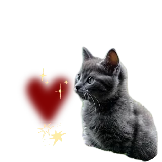🐱 emoji Животные Telegram sticker 7 of 86