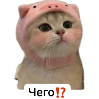 🐱 emoji Животные Telegram sticker 9 of 86