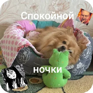 Sticker from капитан Степан