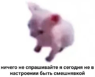 Sticker from Смешнявки