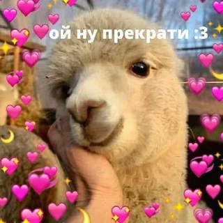 Sticker from Смешнявки